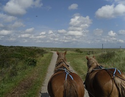 Blick aus der Kutsche